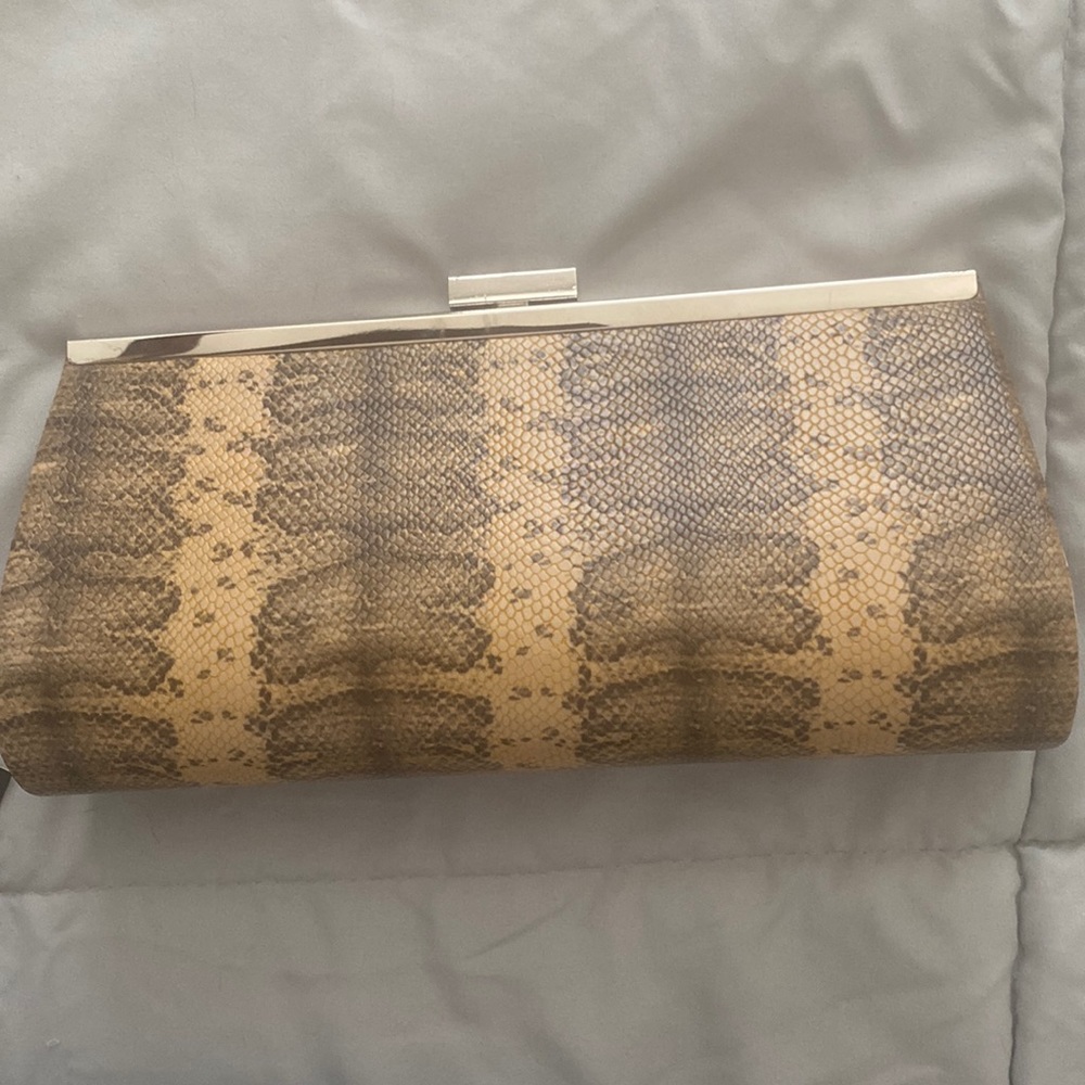 Snakeskin clutch